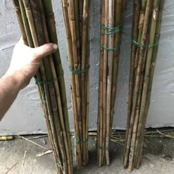 Bamboo Gardening Stakes 20 Count