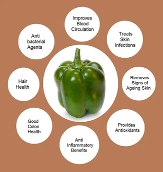 Organic Green Bell Peppers - Image 4