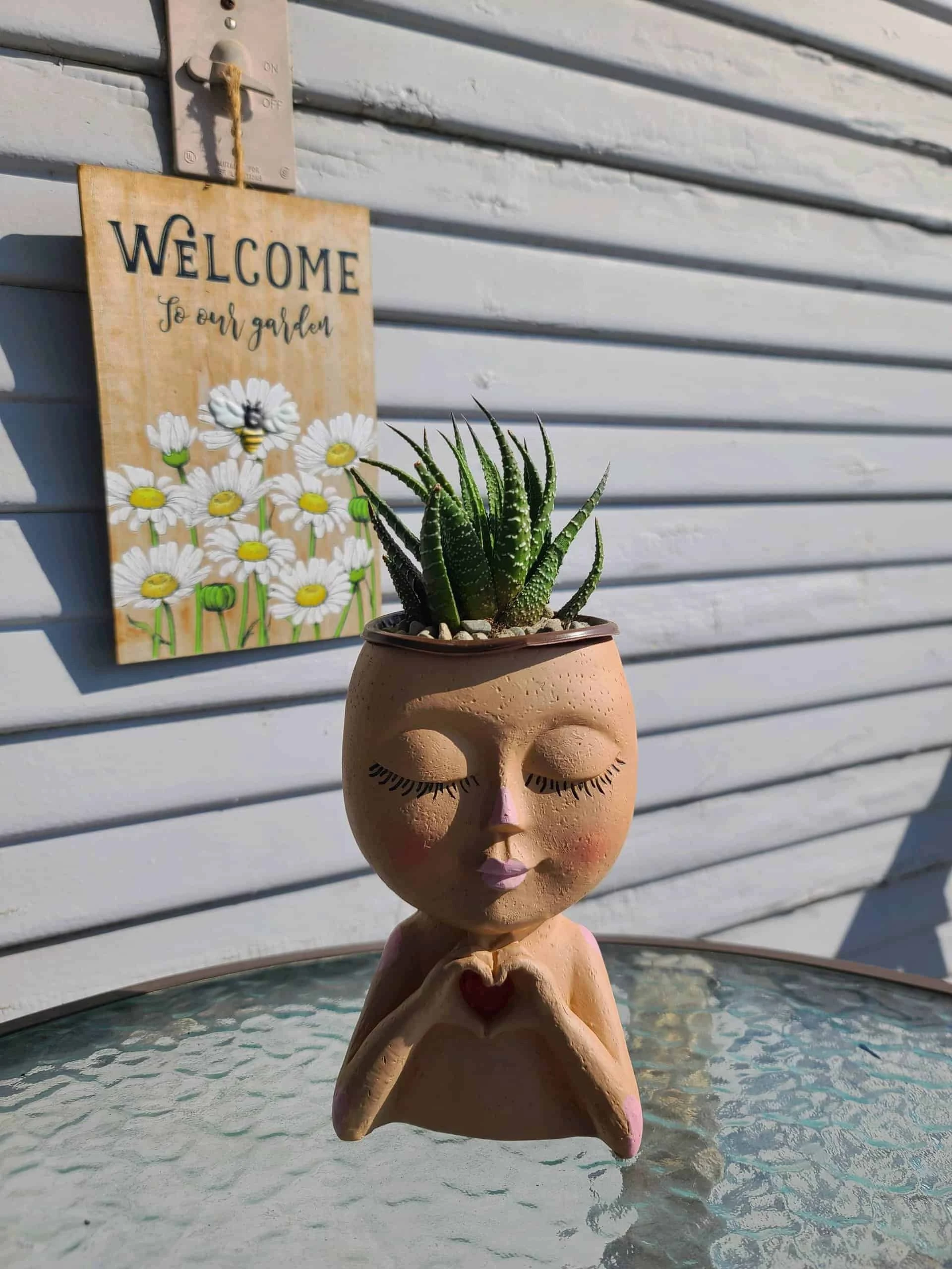 Girl Face Head Planter Brown With Live Succulent