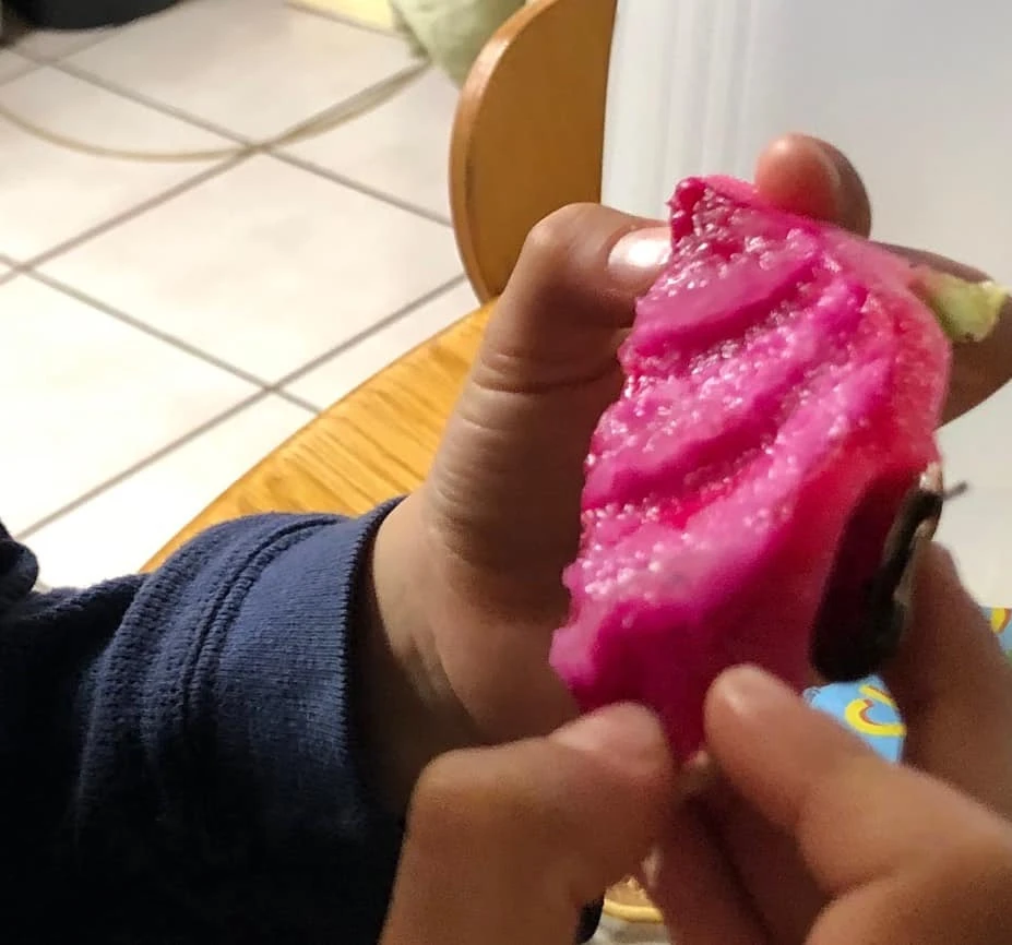 Dragon Fruit Starter Kit, 3x Varieties, Top Flavors - Image 4