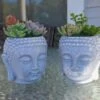 Buddha Head Planter With Live Succulent
