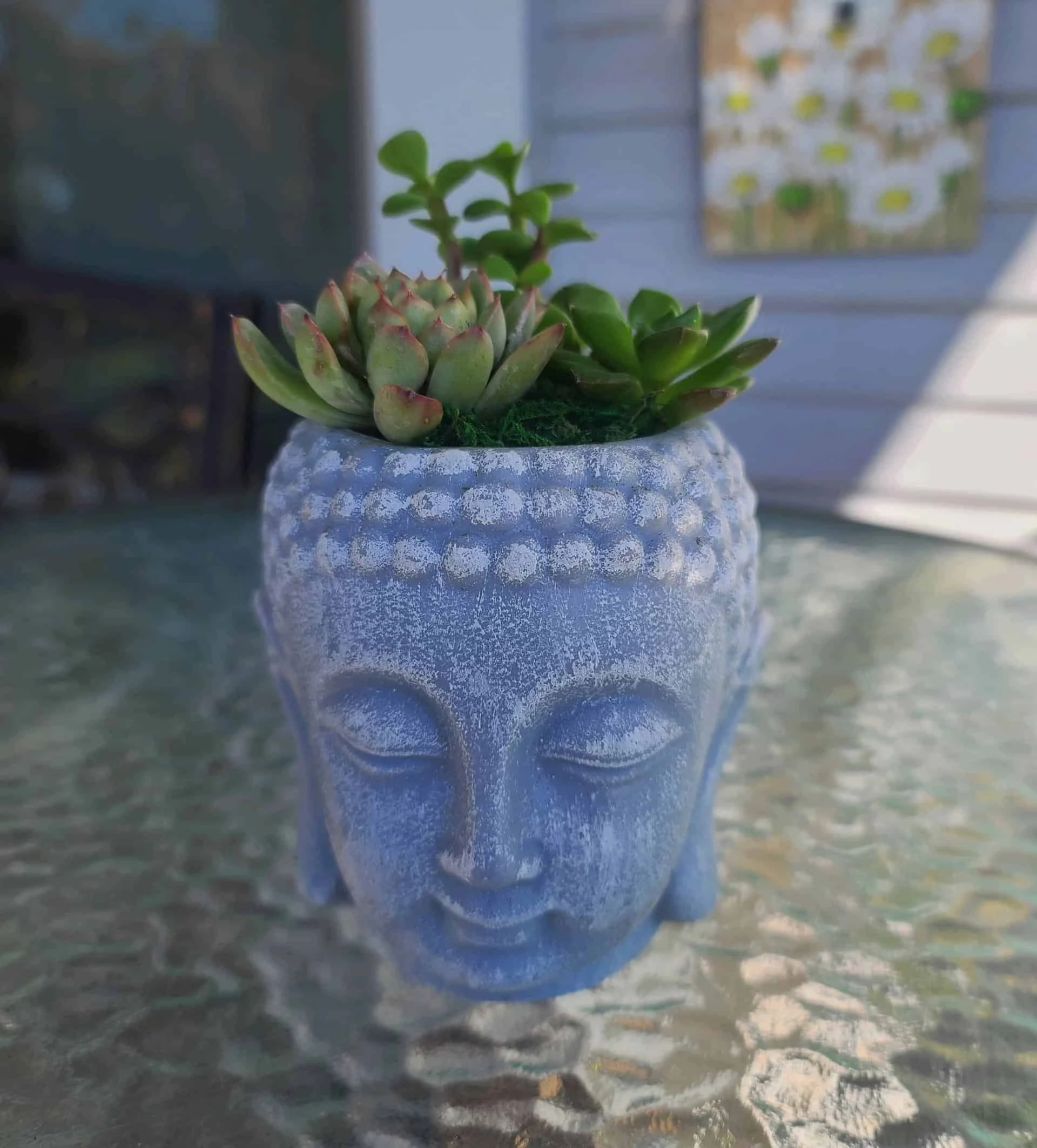 Buddha Head Planter With Live Succulent - Image 3