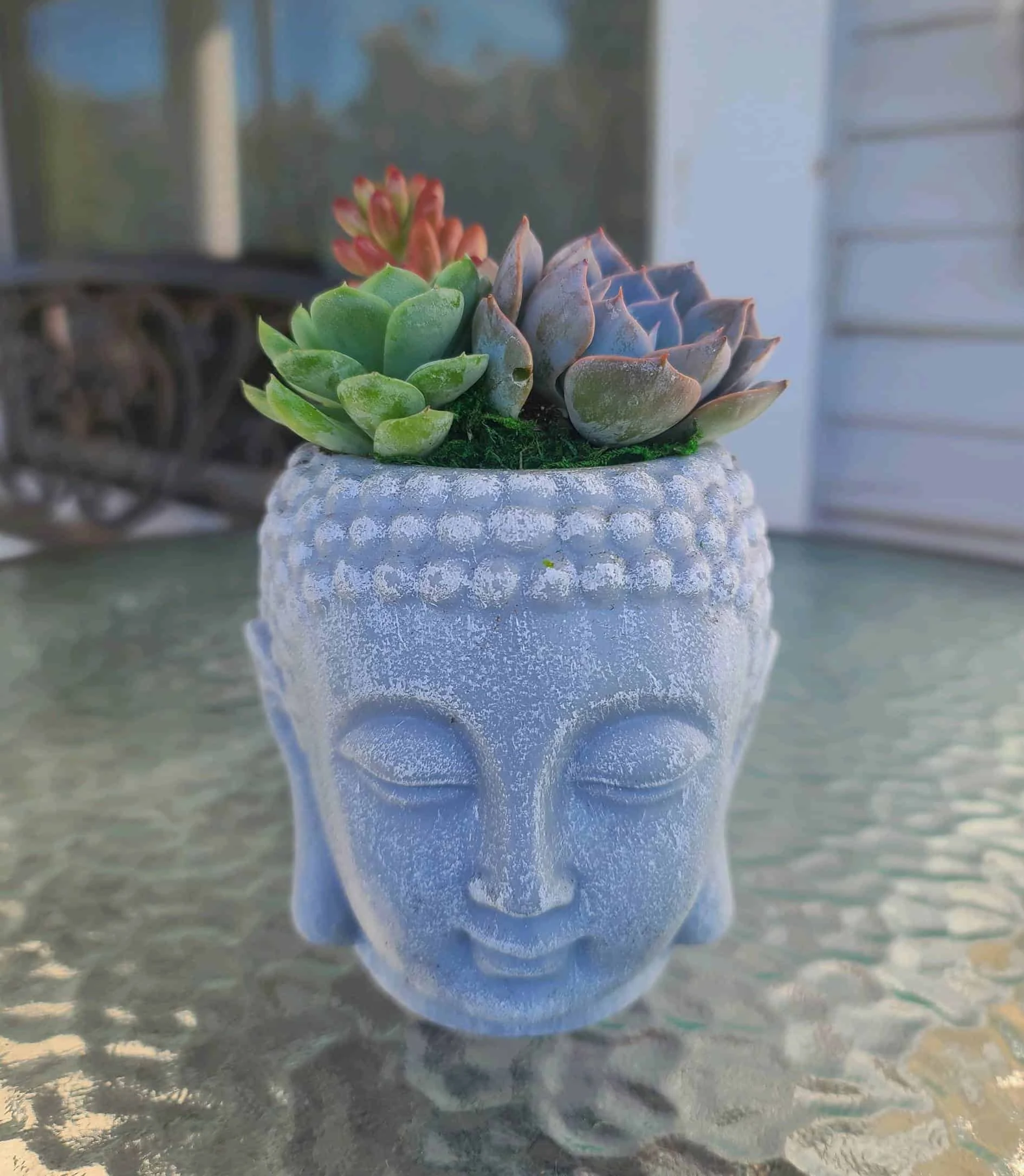 Buddha Head Planter With Live Succulent - Image 4