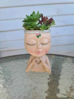 Mini Girl Face Head Planter With Live Succulent