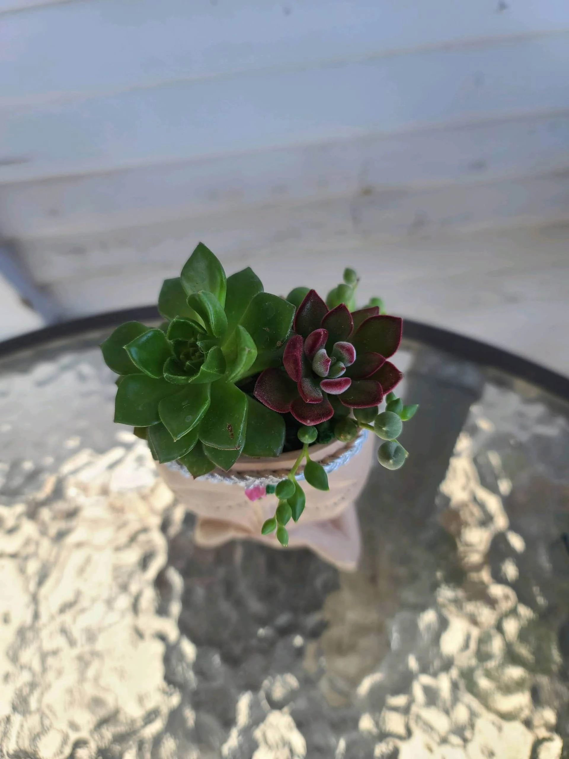 Mini Girl Face Head Planter With Live Succulent - Image 2