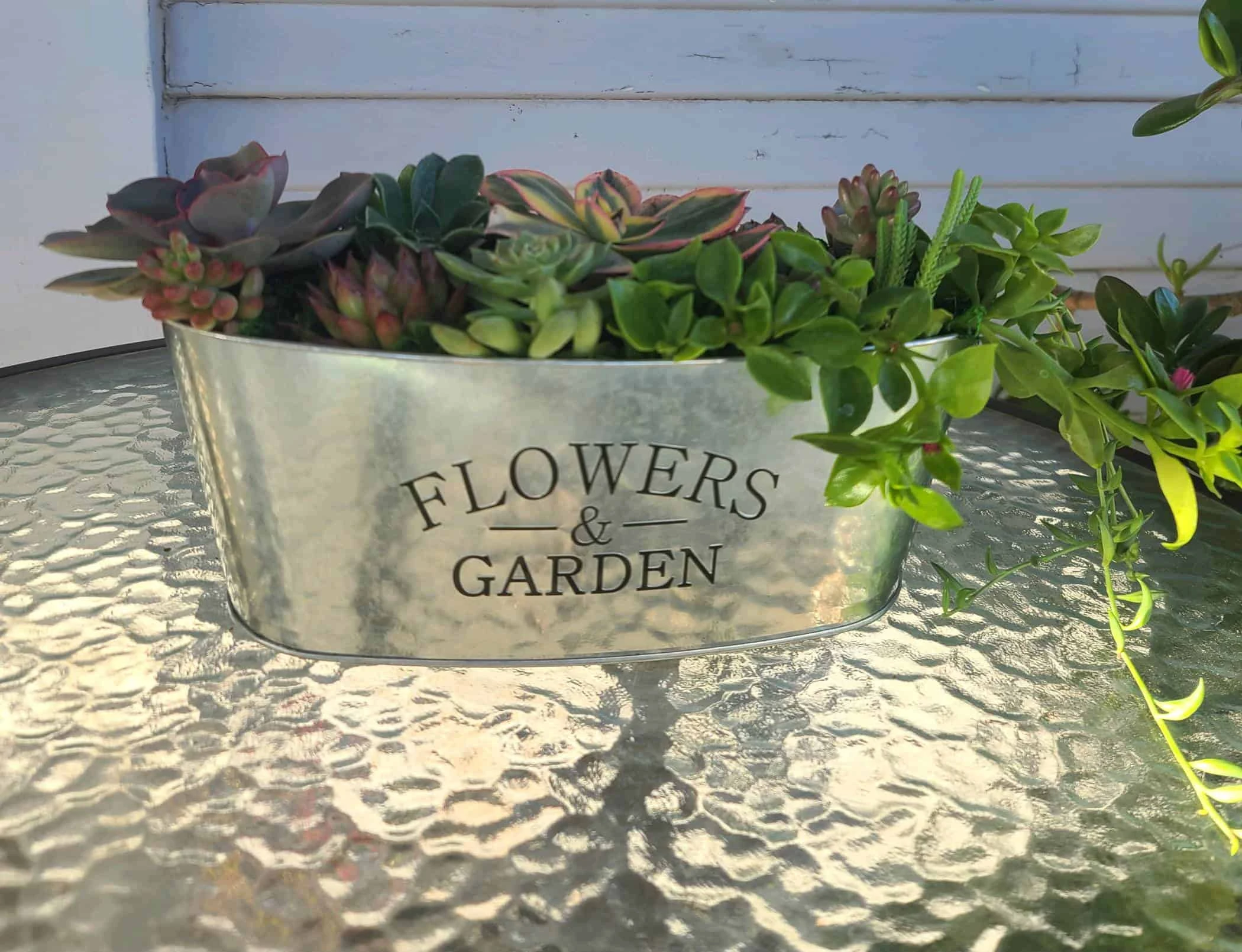 Succulent Arrangement In Flowers And Garden Tin Container