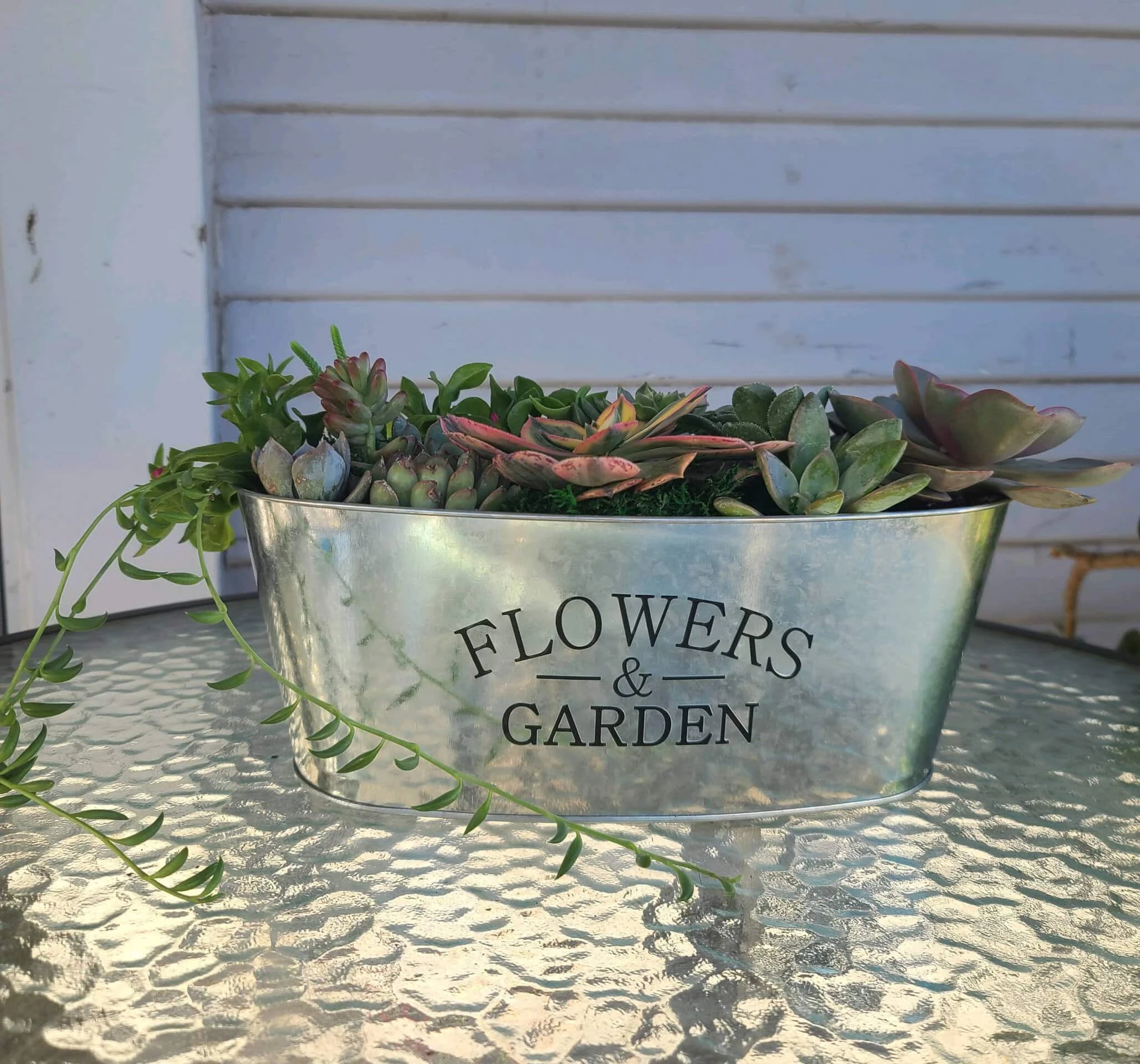 Succulent Arrangement In Flowers And Garden Tin Container - Image 2