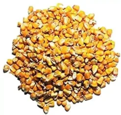 Premium Whole Corn Feed For Deer, Squirrels, Birds, Beef Cattles, Wildlife - 10LB