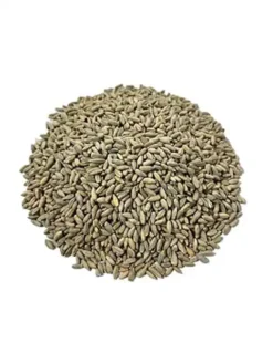 Rye Berries, Non-GMO, 5 Lbs Sealed Bag