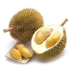 Rare Durian Trees (different Varieties). 3 Years Old, Grafted, Potted.