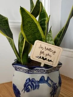 Funny Plant Marker, Plant Stakes Set Of 10