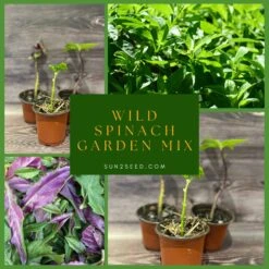 Wild Spinach Garden Mix | Okinawan Spinach, Longevity Spinach, S