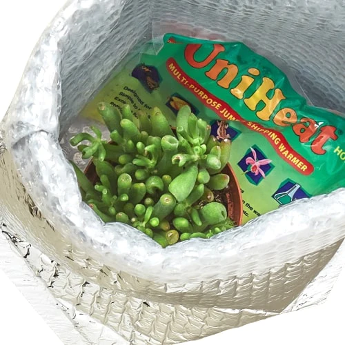 Winter Plant Shipping Protection: Large 7-12 Plants