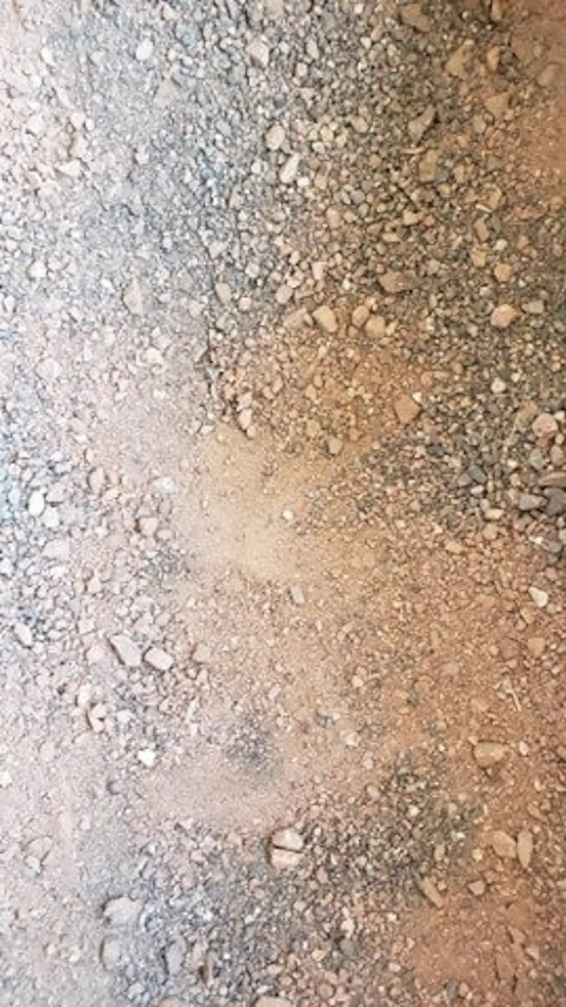 Sonoran Soil, Cactus Soil, Succulent Soil - Image 3