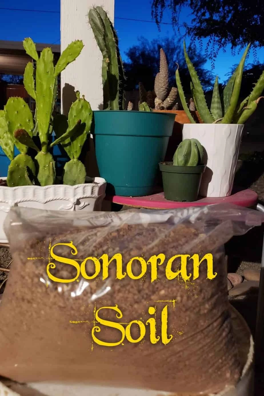 Sonoran Soil, Cactus Soil, Succulent Soil