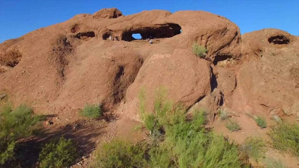 Sonoran Soil, Cactus Soil, Succulent Soil - Image 5