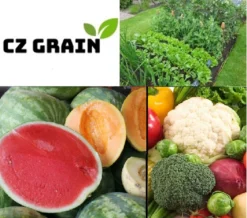 Vegetable Garden Seed Kit #2 | Brussel Sprouts, Broccoli, Cauliflower, Tomato, Carrot | Grow Your Own Food, Vegetable Seeds For Planting