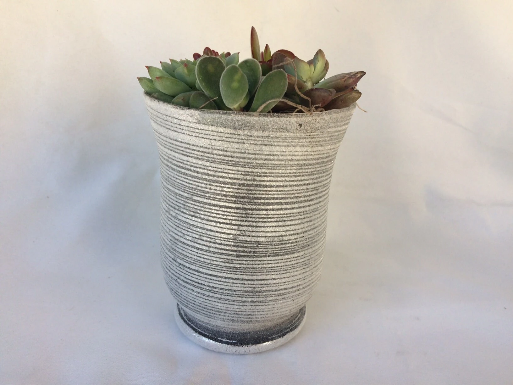 Medium Succulent Plant - Arrangement In A Frosted Silver Swirl Crystal Planter. - Image 4