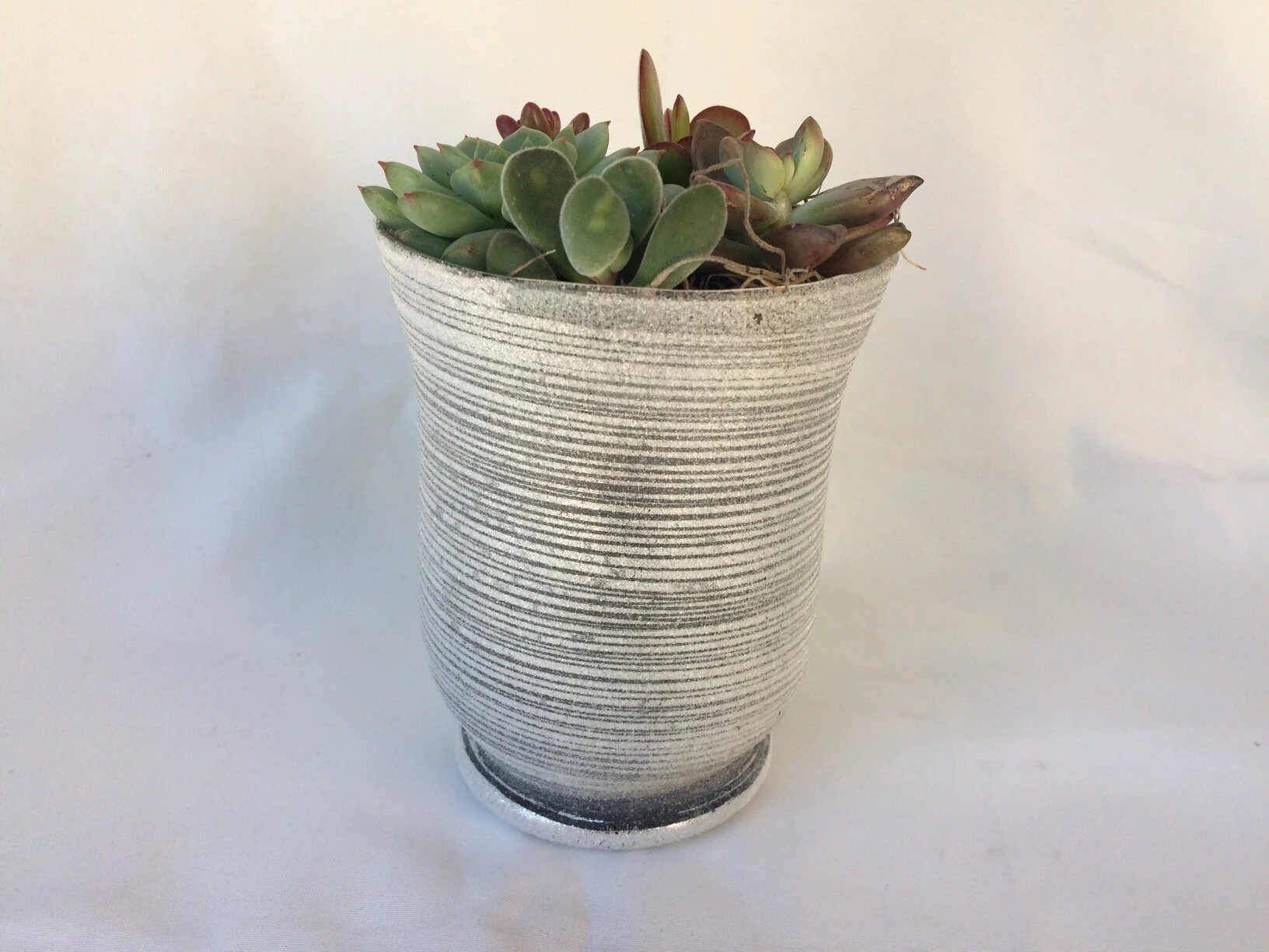 Medium Succulent Plant - Arrangement In A Frosted Silver Swirl Crystal Planter. - Image 6