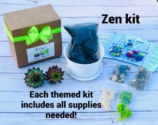 DIY Succulent Cactus Garden Kit, Plants Under 31.4, - Image 3